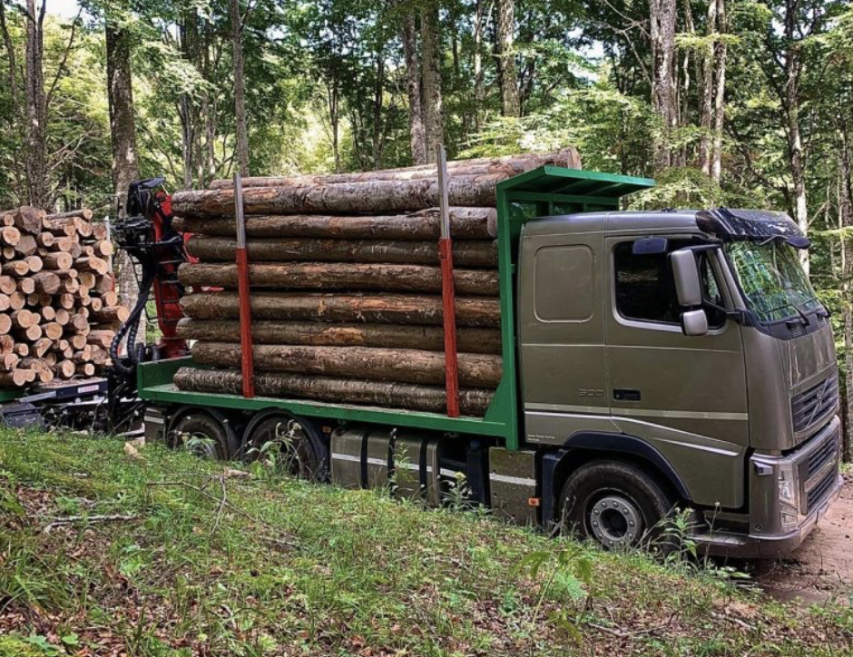 Dal bosco a casa tua